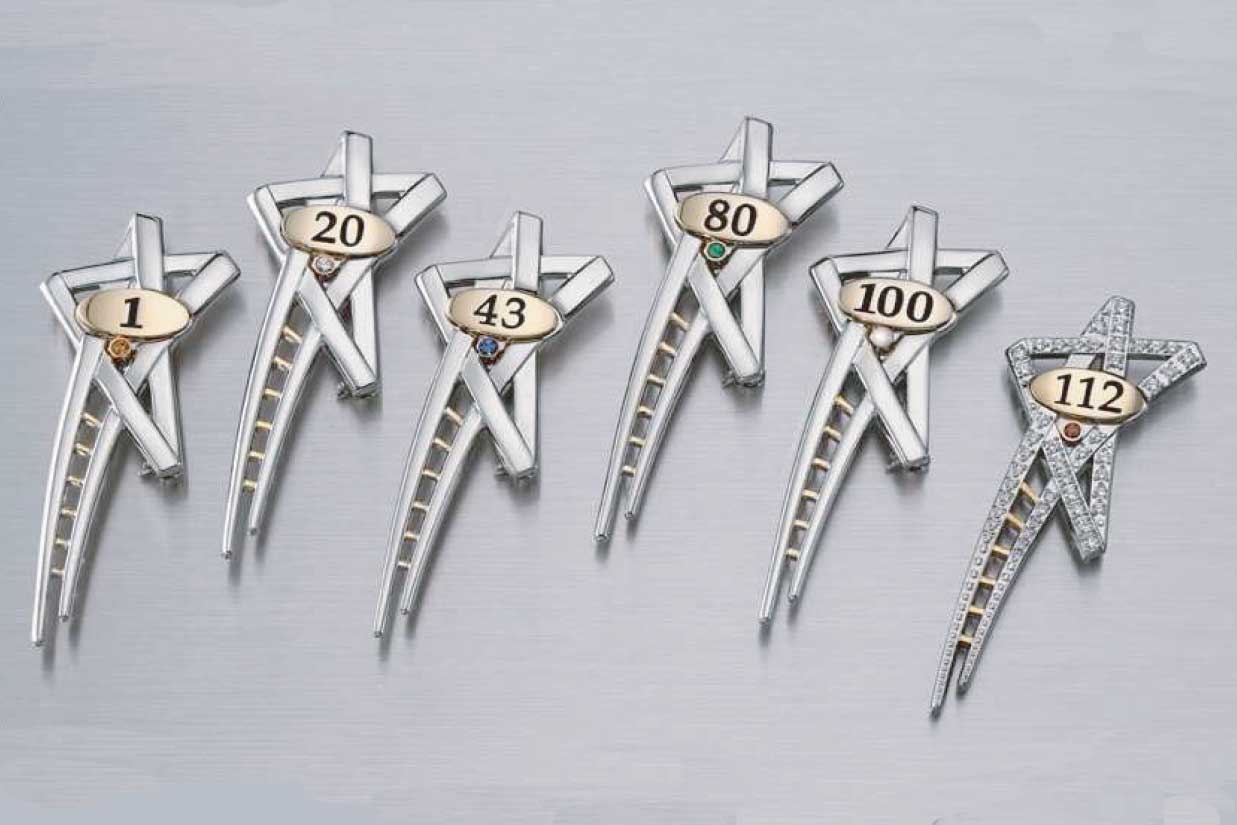 Mary Kay Star Ladder Program